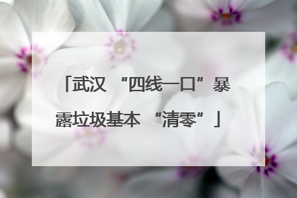 武汉 “四线一口”暴露垃圾基本 “清零”