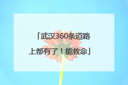 武汉360条道路上都有了！能救命