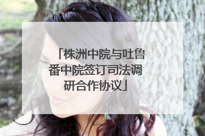 株洲中院与吐鲁番中院签订司法调研合作协议