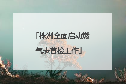 株洲全面启动燃气表首检工作