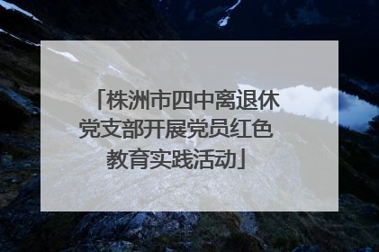 株洲市四中离退休党支部开展党员红色教育实践活动