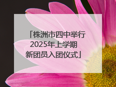 株洲市四中举行2025年上学期新团员入团仪式