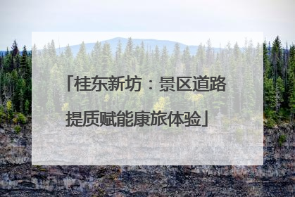 桂东新坊：景区道路提质赋能康旅体验