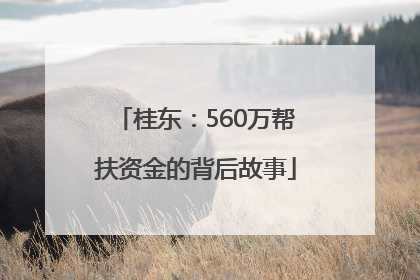 桂东：560万帮扶资金的背后故事