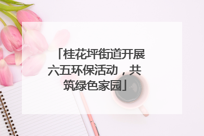 桂花坪街道开展六五环保活动，共筑绿色家园
