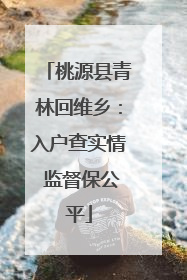 桃源县青林回维乡：入户查实情 监督保公平