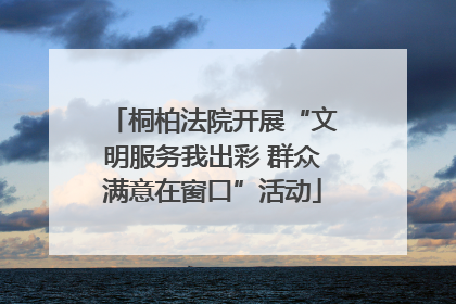 桐柏法院开展“文明服务我出彩 群众满意在窗口”活动
