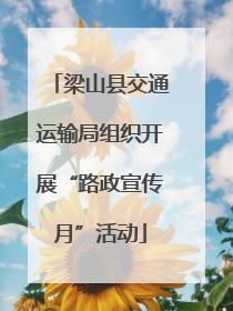 梁山县交通运输局组织开展“路政宣传月”活动