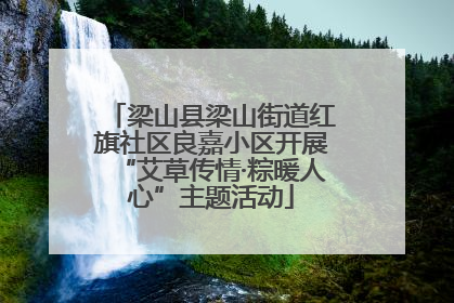 梁山县梁山街道红旗社区良嘉小区开展“艾草传情·粽暖人心”主题活动