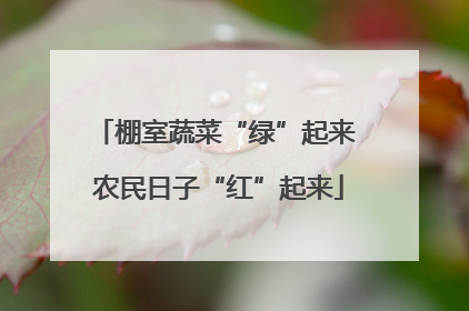 棚室蔬菜“绿”起来 农民日子“红”起来