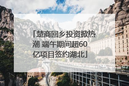 楚商回乡投资掀热潮 端午期间超60亿项目签约湖北