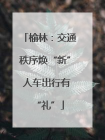 榆林：交通秩序焕“新” 人车出行有“礼”