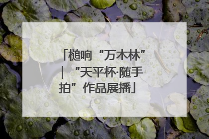 槌响“万木林”｜“天平杯·随手拍”作品展播