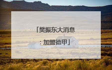 樊振东大消息：加盟德甲