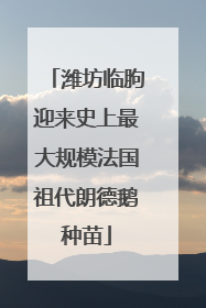 潍坊临朐迎来史上最大规模法国祖代朗德鹅种苗