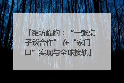 潍坊临朐：“一张桌子谈合作” 在“家门口”实现与全球接轨