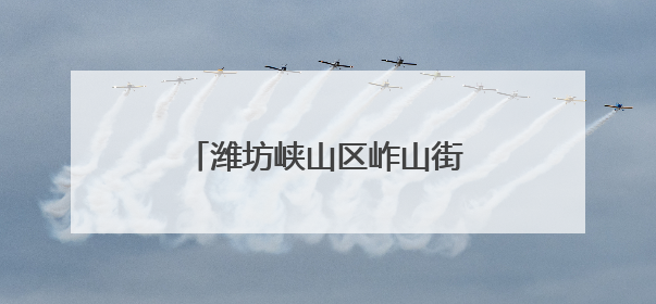潍坊峡山区岞山街道：聚力集采谋发展 便民惠民办实事