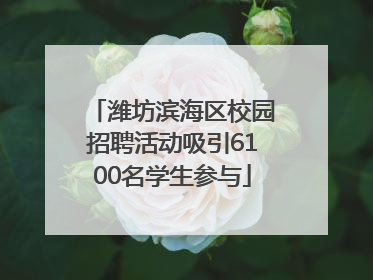 潍坊滨海区校园招聘活动吸引6100名学生参与