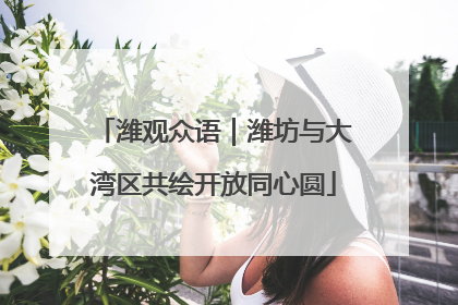潍观众语｜潍坊与大湾区共绘开放同心圆