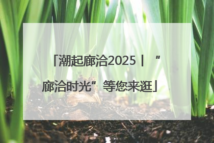潮起廊洽2025丨“廊洽时光”等您来逛