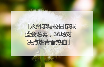 永州零陵校园足球盛会落幕，36场对决点燃青春热血