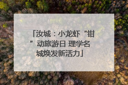 汝城：小龙虾“钳”动旅游日 理学名城焕发新活力