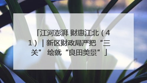 江河澎湃 财惠江北（41）｜新区财政局严把“三关” 绘就“良田美景”