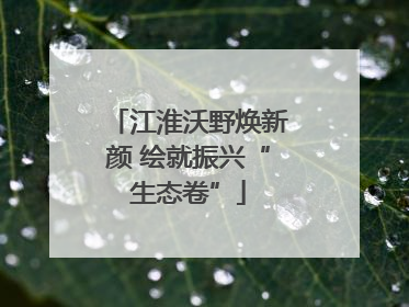 江淮沃野焕新颜 绘就振兴“生态卷”