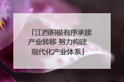 江西积极有序承接产业转移 努力构建现代化产业体系