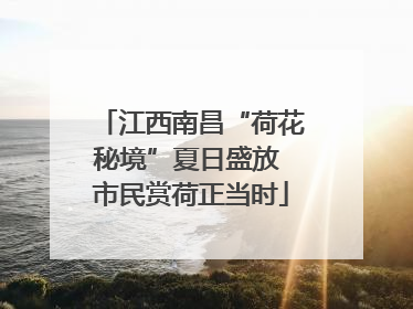 江西南昌“荷花秘境”夏日盛放 市民赏荷正当时