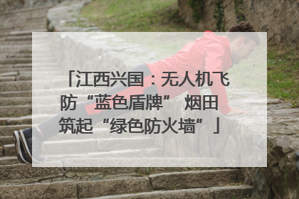 江西兴国：无人机飞防“蓝色盾牌” 烟田筑起“绿色防火墙”