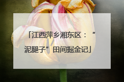 江西萍乡湘东区：“泥腿子”田间掘金记