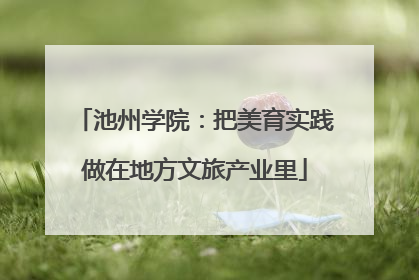 池州学院：把美育实践做在地方文旅产业里
