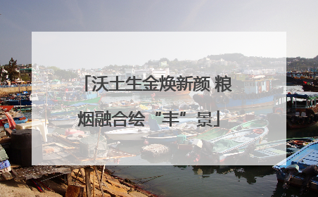 沃土生金焕新颜 粮烟融合绘“丰”景