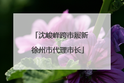 沈峻峰跨市履新徐州市代理市长