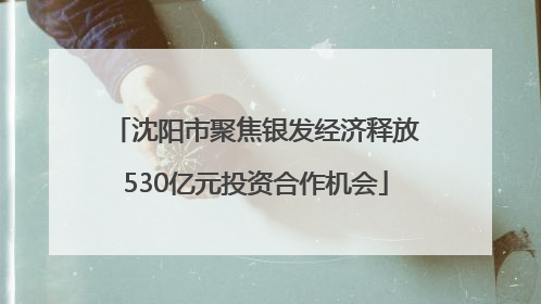 沈阳市聚焦银发经济释放530亿元投资合作机会