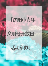 沈阳市青年文明号开放日活动举办