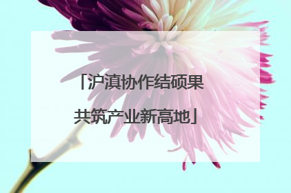 沪滇协作结硕果 共筑产业新高地