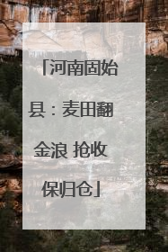 河南固始县：麦田翻金浪 抢收保归仓