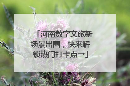 河南数字文旅新场景出圈，快来解锁热门打卡点→