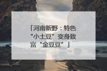 河南新野：特色“小土豆”变身致富“金豆豆”