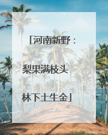 河南新野：梨果满枝头 林下土生金