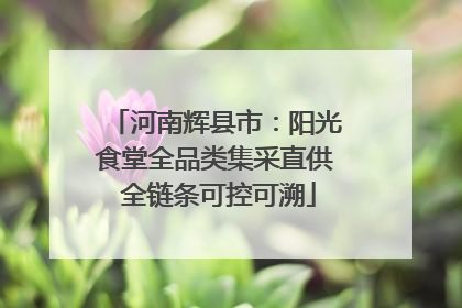 河南辉县市：阳光食堂全品类集采直供 全链条可控可溯