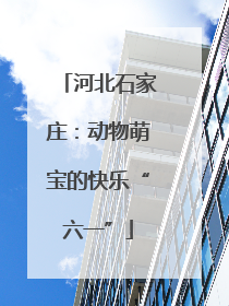 河北石家庄：动物萌宝的快乐“六一”