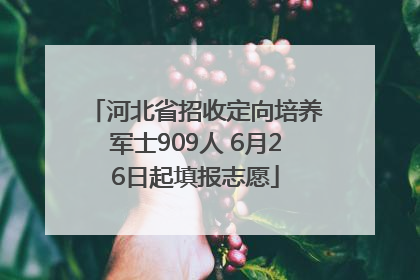 河北省招收定向培养军士909人 6月26日起填报志愿