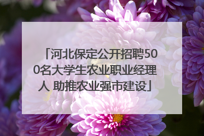 河北保定公开招聘500名大学生农业职业经理人 助推农业强市建设