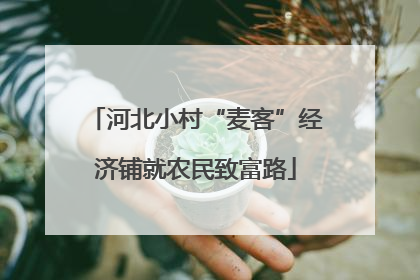 河北小村“麦客”经济铺就农民致富路