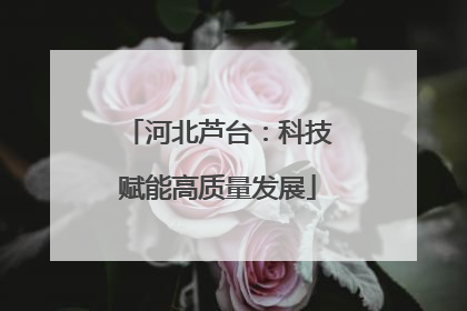 河北芦台：科技赋能高质量发展