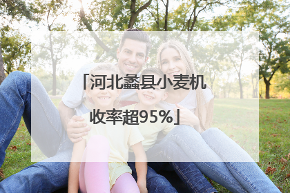 河北蠡县小麦机收率超95%
