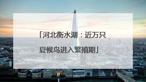 河北衡水湖：近万只夏候鸟进入繁殖期